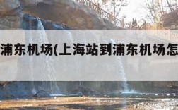 上海站浦东机场(上海站到浦东机场怎么走最方便)