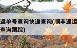顺丰速运单号查询快递查询(顺丰速运单号查询快递查询跟踪)