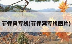 菲律宾专线(菲律宾专线图片)