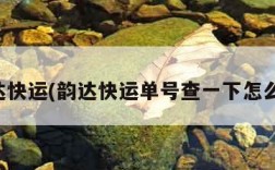 韵达快运(韵达快运单号查一下怎么查)