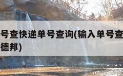 输入单号查快递单号查询(输入单号查快递单号查询德邦)