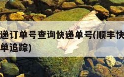 顺丰快递订单号查询快递单号(顺丰快递单号查询运单追踪)