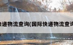 国际快递物流查询(国际快递物流查询系统)