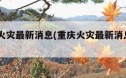 重庆火灾最新消息(重庆火灾最新消息2021)