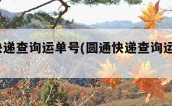 圆通快递查询运单号(圆通快递查询运单号7308)