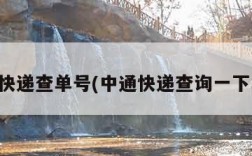 中通快递查单号(中通快递查询一下单号)