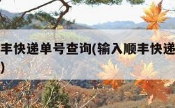 输入顺丰快递单号查询(输入顺丰快递单号查询官网)