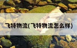 飞特物流(飞特物流怎么样)