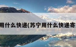 苏宁用什么快递(苏宁用什么快递寄东西)