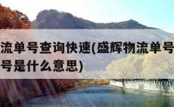 盛辉物流单号查询快速(盛辉物流单号查询快速运单号是什么意思)