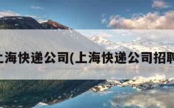 上海快递公司(上海快递公司招聘)
