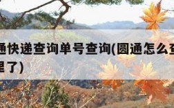 yt圆通快递查询单号查询(圆通怎么查快递到哪里了)