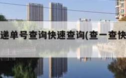 圆通快递单号查询快速查询(查一查快递到哪里了)