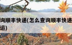 怎么查询顺丰快递(怎么查询顺丰快递是空运还是陆运)