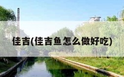 佳吉(佳吉鱼怎么做好吃)
