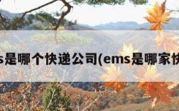 ems是哪个快递公司(ems是哪家快递)