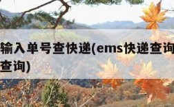 ems输入单号查快递(ems快递查询输入号码查询)