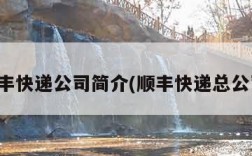 顺丰快递公司简介(顺丰快递总公司)