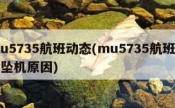mu5735航班动态(mu5735航班动态坠机原因)