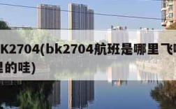 BK2704(bk2704航班是哪里飞哪里的哇)