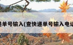 查快递单号输入(查快递单号输入电话号码)