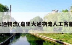 嘉里大通物流(嘉里大通物流人工客服电话)