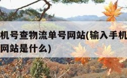 输入手机号查物流单号网站(输入手机号查物流单号网站是什么)