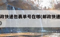 中国邮政快递包裹单号在哪(邮政快递快递单号在哪)