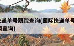国际快递单号跟踪查询(国际快递单号查询100官网查询)