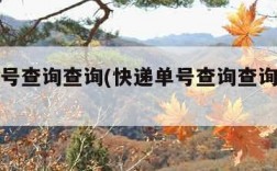 快递单号查询查询(快递单号查询查询物流进度)