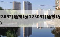 12305打通技巧(12305打通技巧详解)