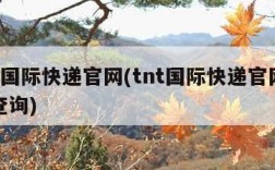 tnt国际快递官网(tnt国际快递官网单号查询)