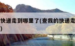 查我的快递走到哪里了(查我的快递走到哪里了顺丰)