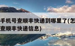 怎么用手机号查顺丰快递到哪里了(怎样通过手机号查顺丰快递信息)