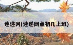 速递网(速递网点初几上班)