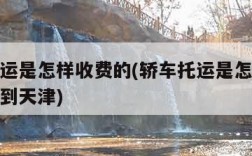 轿车托运是怎样收费的(轿车托运是怎样收费的武汉到天津)