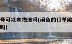 订单编号可以查物流吗(闲鱼的订单编号可以查物流吗)