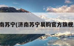 济南苏宁(济南苏宁易购官方旗舰店)