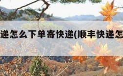 顺丰快递怎么下单寄快递(顺丰快递怎么下单寄件)