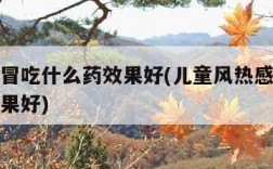风热感冒吃什么药效果好(儿童风热感冒吃什么药效果好)