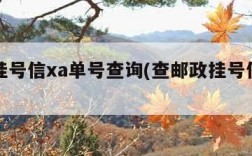 邮政挂号信xa单号查询(查邮政挂号信单号查询)