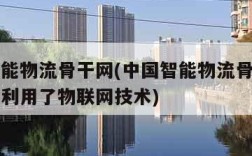 中国智能物流骨干网(中国智能物流骨干网项目是否利用了物联网技术)