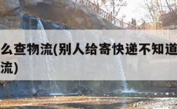 单号怎么查物流(别人给寄快递不知道单号怎么查物流)