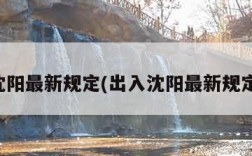 出入沈阳最新规定(出入沈阳最新规定要求)