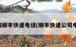 沈阳顺丰快递电话(顺丰快递公司电话)