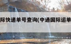 中通国际快递单号查询(中通国际运单号查询)