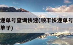 顺丰快递单号查询快速(顺丰快递单号查询快速查询单子)