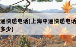 上海中通快递电话(上海中通快递电话人工客服电话多少)