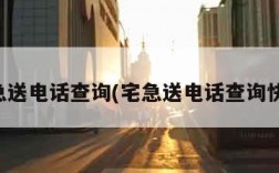 宅急送电话查询(宅急送电话查询快递)
