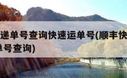 顺丰快递单号查询快速运单号(顺丰快递查询单号 单号查询)